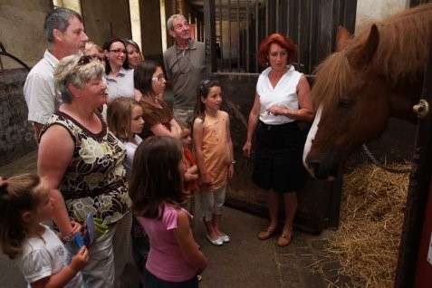 haras au domaine des camelias