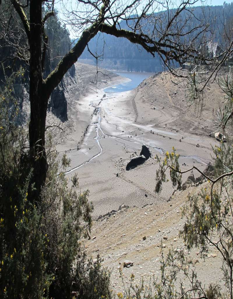 Lac de Guerlédan - Au Domaine des Camélias (2)