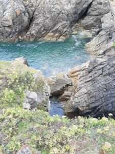 Lire la suite à propos de l’article Les visites près de la mer dans le Morbihan