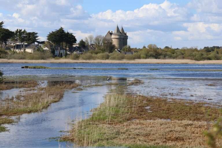 chateau Suscinio