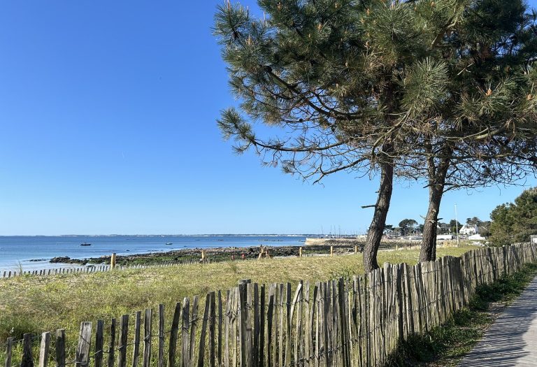 mer vue de Carnac
